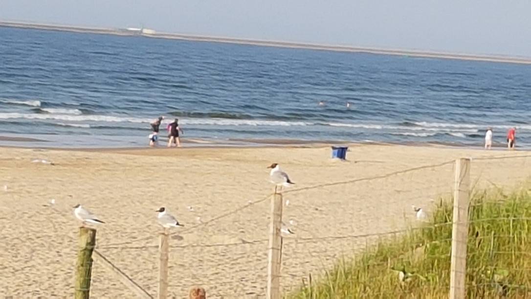 Ein Bild, das drauen, Himmel, Wasser, Strand enthlt.

Automatisch generierte Beschreibung